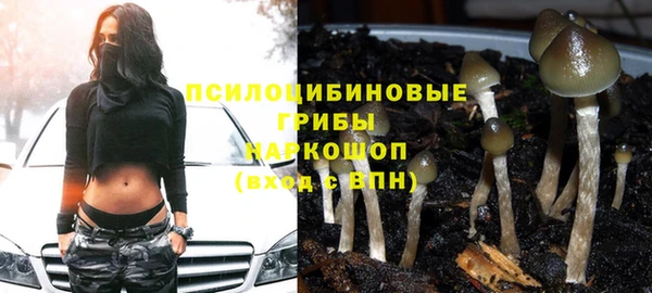 прущая мука Заволжск