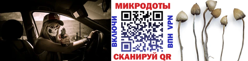 Купить  Железноводск  Галлюциногенные грибы MAGIC MUSHROOMS 