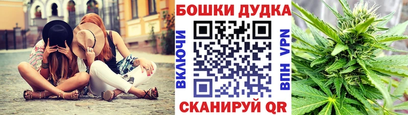 Купить закладки  Железноводск  Канабис SATIVA & INDICA 
